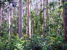 Yalboroo QLD Accommodation Main Beach