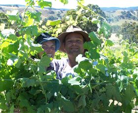 Glenlogie ACT QLD Tourism