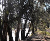Mia Forest Drives Narrandera - Broome Tourism