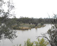 Bundidgerry Walking Track - Bundaberg Accommodation