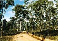 Paddys Ranges State Park - Accommodation Bookings