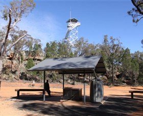 Pilliga Forest Lookout Tower Baradine
