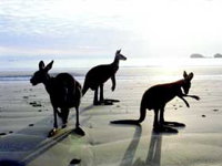 Hibiscus Coast - Gold Coast Attractions
