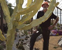 Cactus Country - Redcliffe Tourism