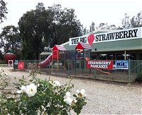 The Big Strawberry - Attractions Melbourne