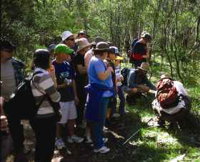 Warrumbungle National Park Discovery Program - Accommodation ACT