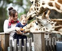 Taronga Western Plains Zoo Dubbo - Accommodation in Bendigo