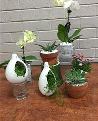 Cobram Florist - Accommodation Australia