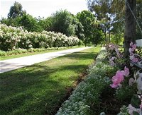 Barooga Botanical Gardens - Accommodation Australia