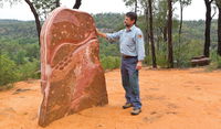 Sculptures in the Scrub walking track - Attractions Brisbane