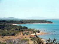 Cape Palmerston National Park - Accommodation Airlie Beach
