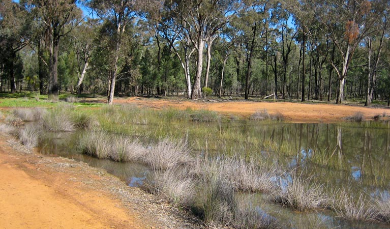 Beni NSW WA Accommodation