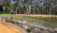 Beni State Conservation Area - QLD Tourism
