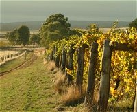 Captains Creek Organic Wines - Accommodation Bookings