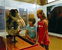Australian Museum Diprotodon Exhibition - Attractions