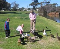 Roy Little Park Merredin - Tourism Canberra