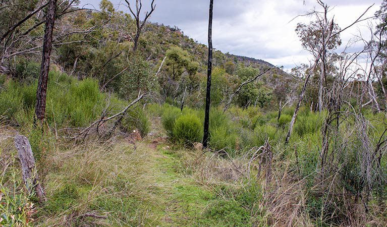 Piney Range NSW Attractions Perth