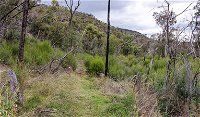Lynchs loop trail - Accommodation ACT