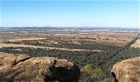 Basin Gully to Eualdrie lookout track - Gold Coast Attractions