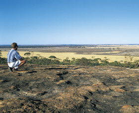 Bencubbin ACT Brisbane Tourism