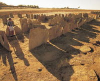 Pergandes Sheepyards - Whitsundays Tourism