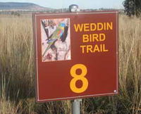 Weddin Bird Trails