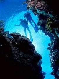 Caves and Canyons Dive Site - QLD Tourism