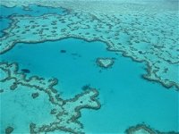 Heart Reef - Tourism Caloundra