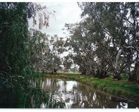 Henty Government Dam Nature Reserve - Accommodation Search