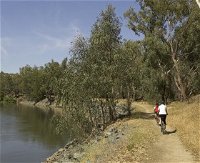 Wiradjuri Walking Track - Attractions Perth