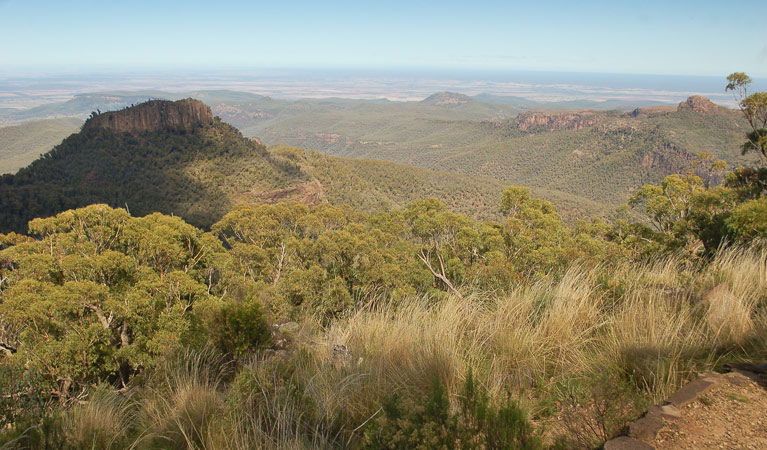 Kaputar NSW Lightning Ridge Tourism