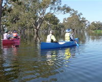 Doodle Cooma Swamp - QLD Tourism