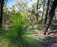 Brisbane Ranges National Park - Accommodation Gladstone