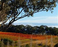 Bloodwood Estate - Attractions