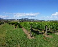 Hedberg Hill Wines - Accommodation BNB