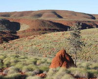 Camel Trail Millstream-Chichester National Park - Tourism Cairns