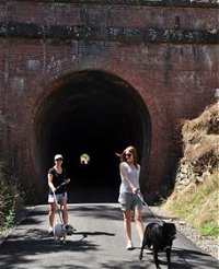 Cheviot Tunnel - Accommodation Brisbane