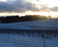 Charles Sturt University Winery - Australia Accommodation