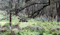 Fourth Crossing picnic area - QLD Tourism