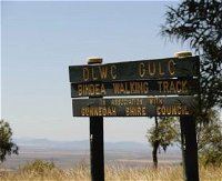 Bindea Walking Track - Accommodation Mooloolaba