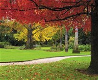 Albury Botanic Gardens - Accommodation Resorts