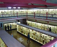 National Museum of Australian Pottery - Accommodation BNB