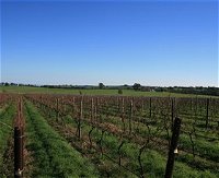 Beechworth Wine Estates - C Tourism