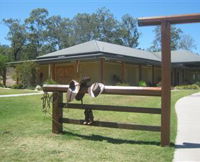RM Williams Australian Bush Learning Centre - Accommodation Noosa