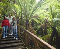 Otway Fly Treetop Adventures - Attractions Perth