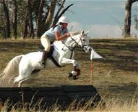 National Equestrian Centre - Kerrabee - SA Accommodation