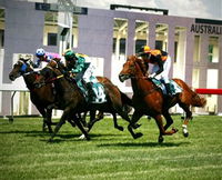 Thoroughbred Park Canberra Racing Club - Horse Racing in the Nations Capital - Broome Tourism