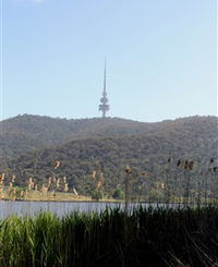 Black Mountain Peninsula - Accommodation Melbourne