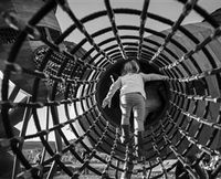 Pod Playground at the National Arboretum - Accommodation Coffs Harbour