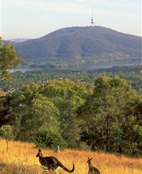 Canberra Centenary Trail - SA Accommodation